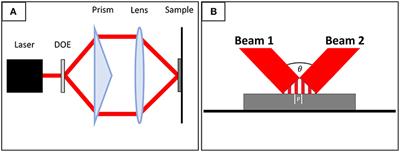 Evolution of the True Contact Area of Laser Textured Tungsten Under Dry Sliding Conditions